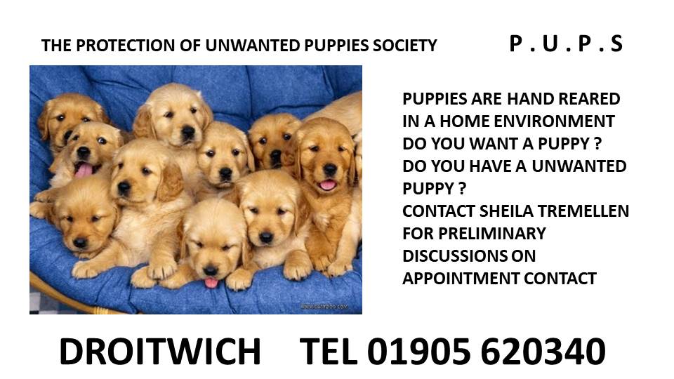 The Protection of Unwanted Puppies Society BestBusinesses.co.uk